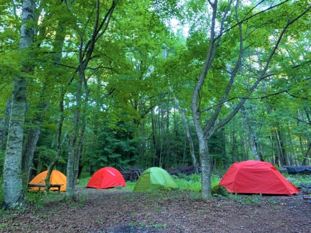 FUMONキャンプ場のフリーサイトでのテント宿泊イメージ｜八ヶ岳のふもと原村で自然を満喫できるペット可のプライベートキャンプ場（ふもんキャンプ場）