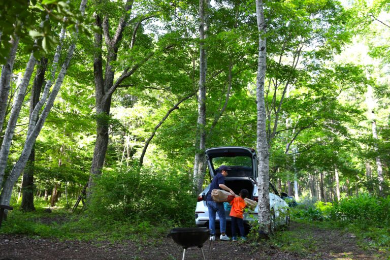 オープンスペース_車乗り入れ_FUMONキャンプ場（長野県 諏訪 原村 八ヶ岳の麓）