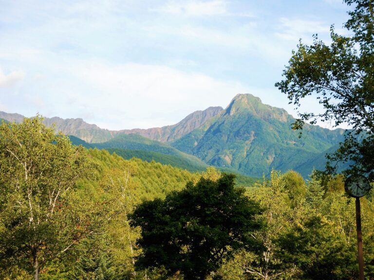 木々の間から見る八ヶ岳_FUMONキャンプ場（長野県 諏訪 原村 八ヶ岳の麓）