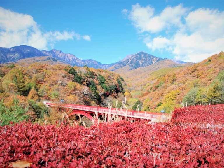 美しい紅葉と山々_FUMONキャンプ場（長野県 諏訪 原村 八ヶ岳の麓）