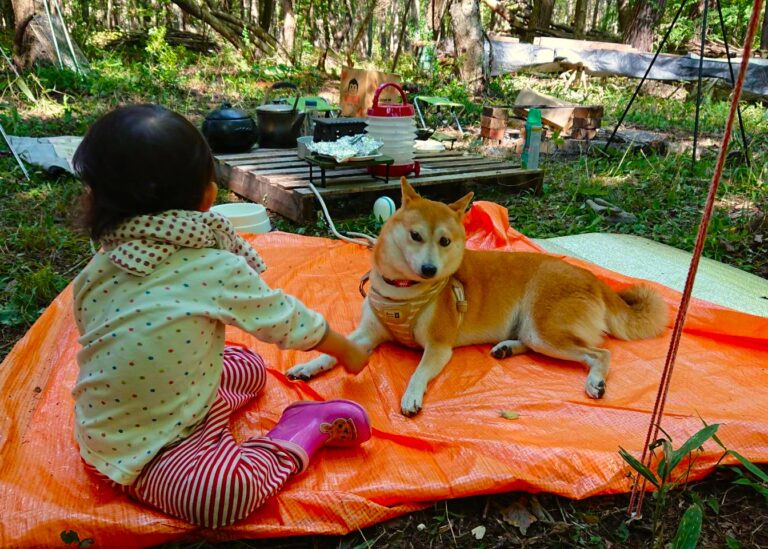 柴犬と子供とキャンプ＆ランチ_FUMONキャンプ場（長野県 諏訪 原村 八ヶ岳の麓）